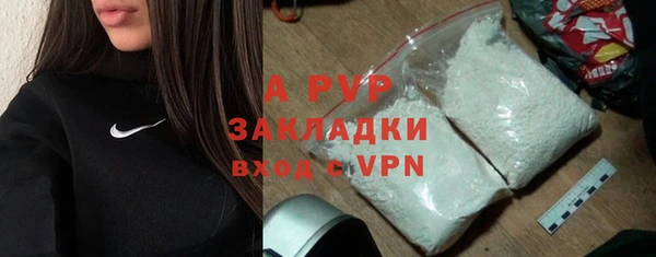 амф Ельня