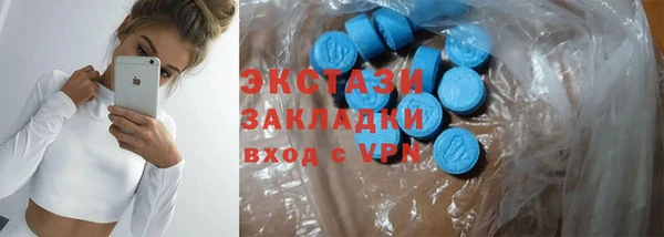 амф Ельня