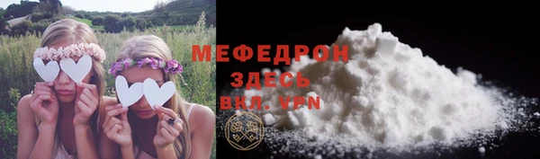 амф Ельня