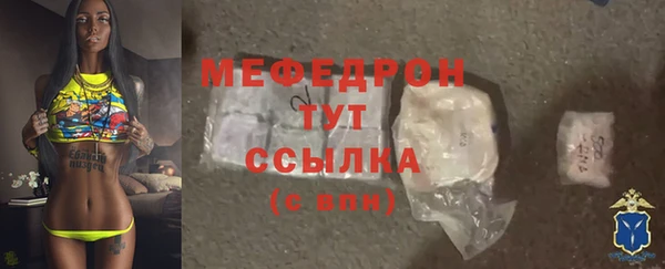 амф Ельня