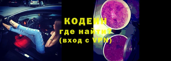амф Ельня