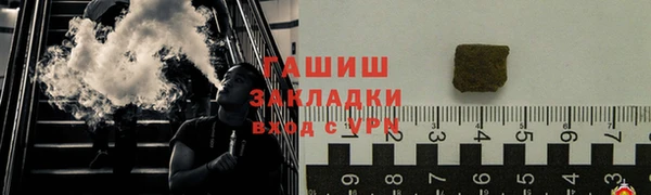 шишки Тайга