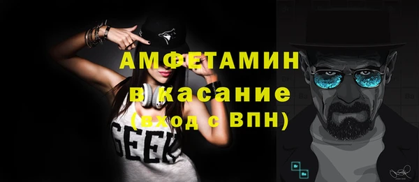 амф Ельня
