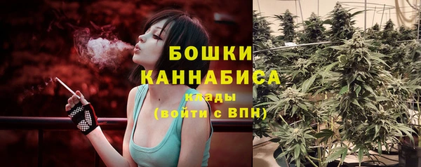 амф Ельня