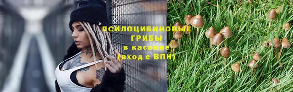 мет Заводоуковск