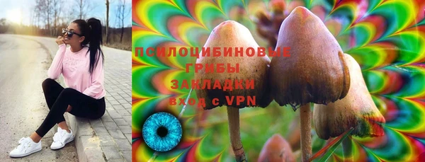 амф Ельня