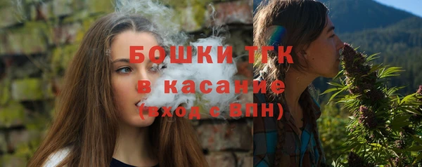 амф Ельня